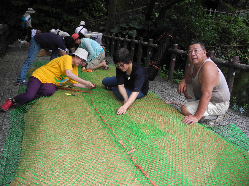 依序鋪上椰纖毯與龜殼網