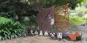 道者-行之手足