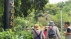 移除外來入侵種植物領隊志工培訓