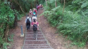 森林公園維護與生態美學認知
